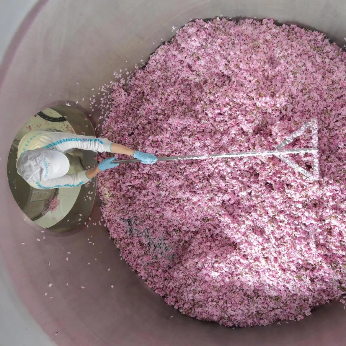 Blossom-Rake-Worker-Image